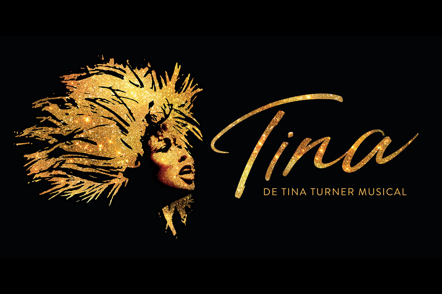 Tina turner tournee 2019